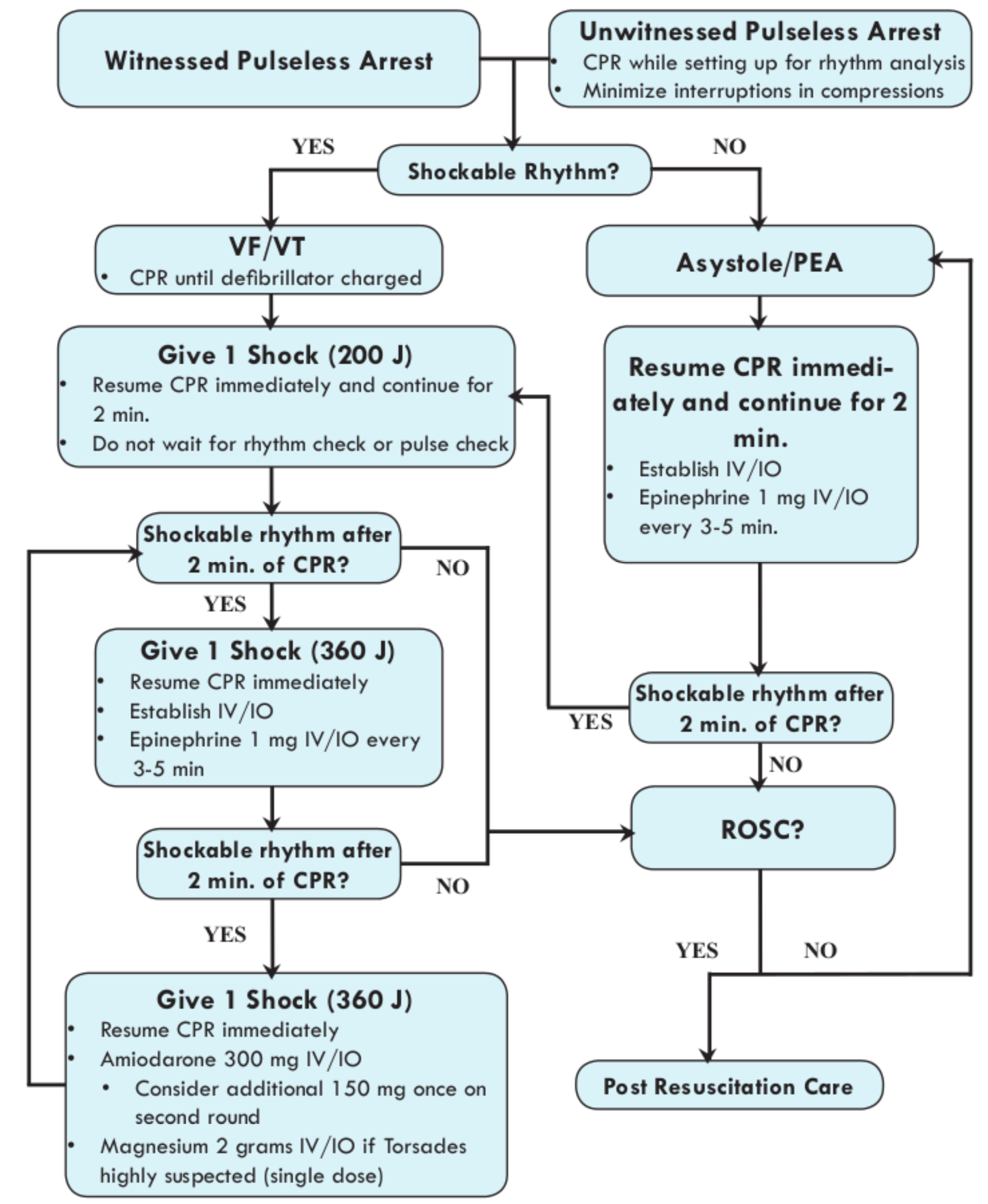 Emt Basic Patient Assessment Flow Chart