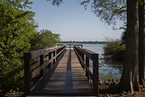 Photo of a dock at a lake