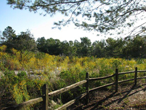 Shadow Bay Park/Lake Cane Tennis Center