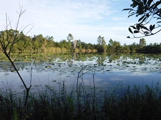 Hidden Pond Preserve
