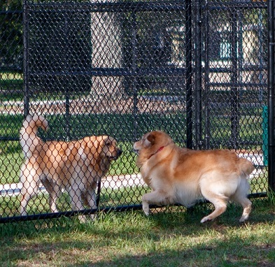 Bentonshire Park