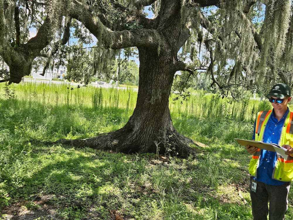 Foto del equipo de arboristas del Condado de Orange