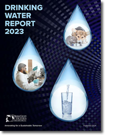 Photo of the drinking water report cover