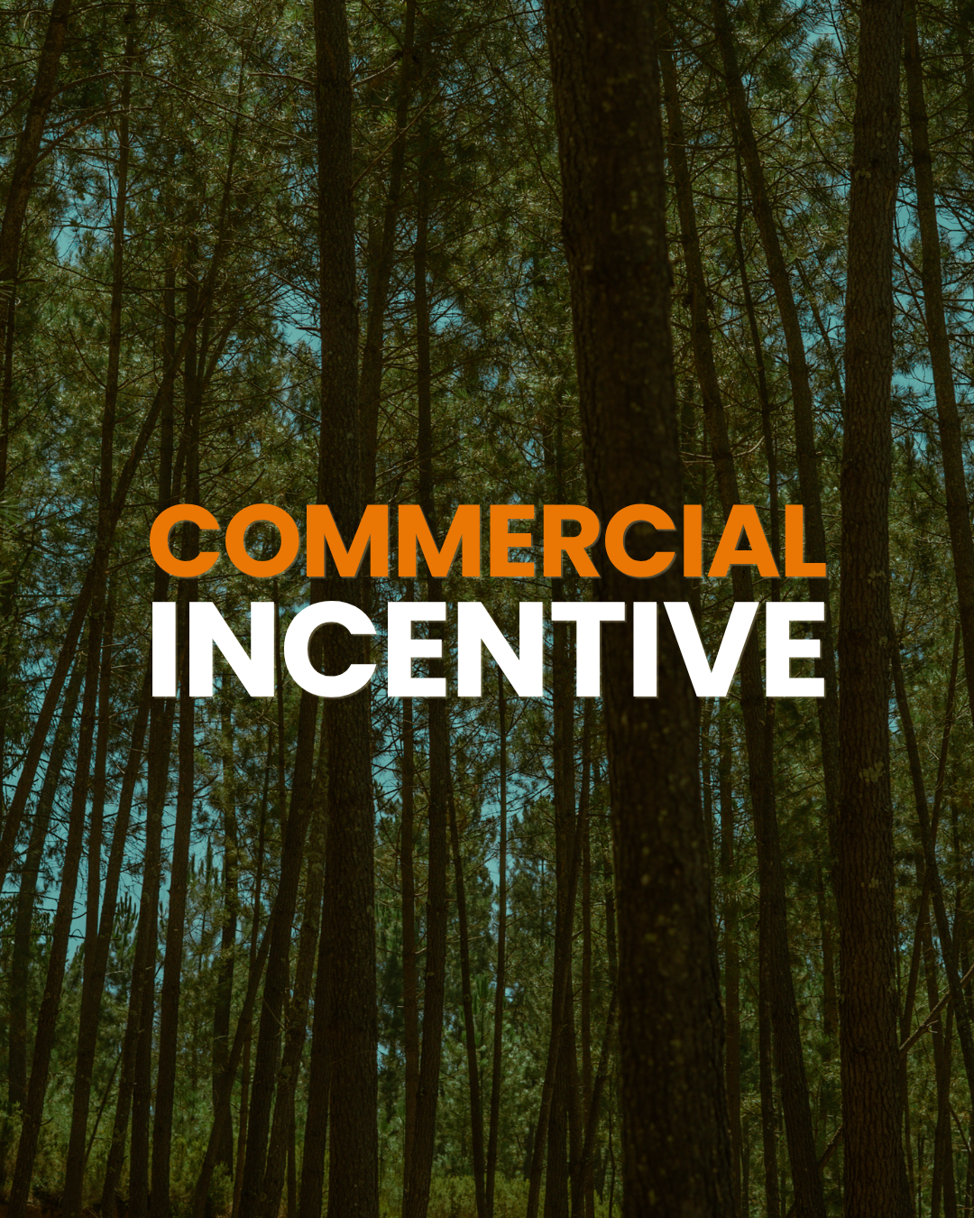 Commercial Incentive