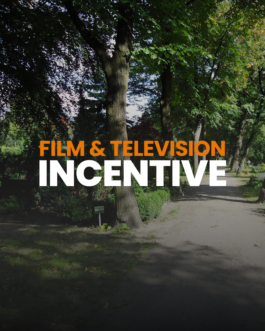 Film and TV Incentive